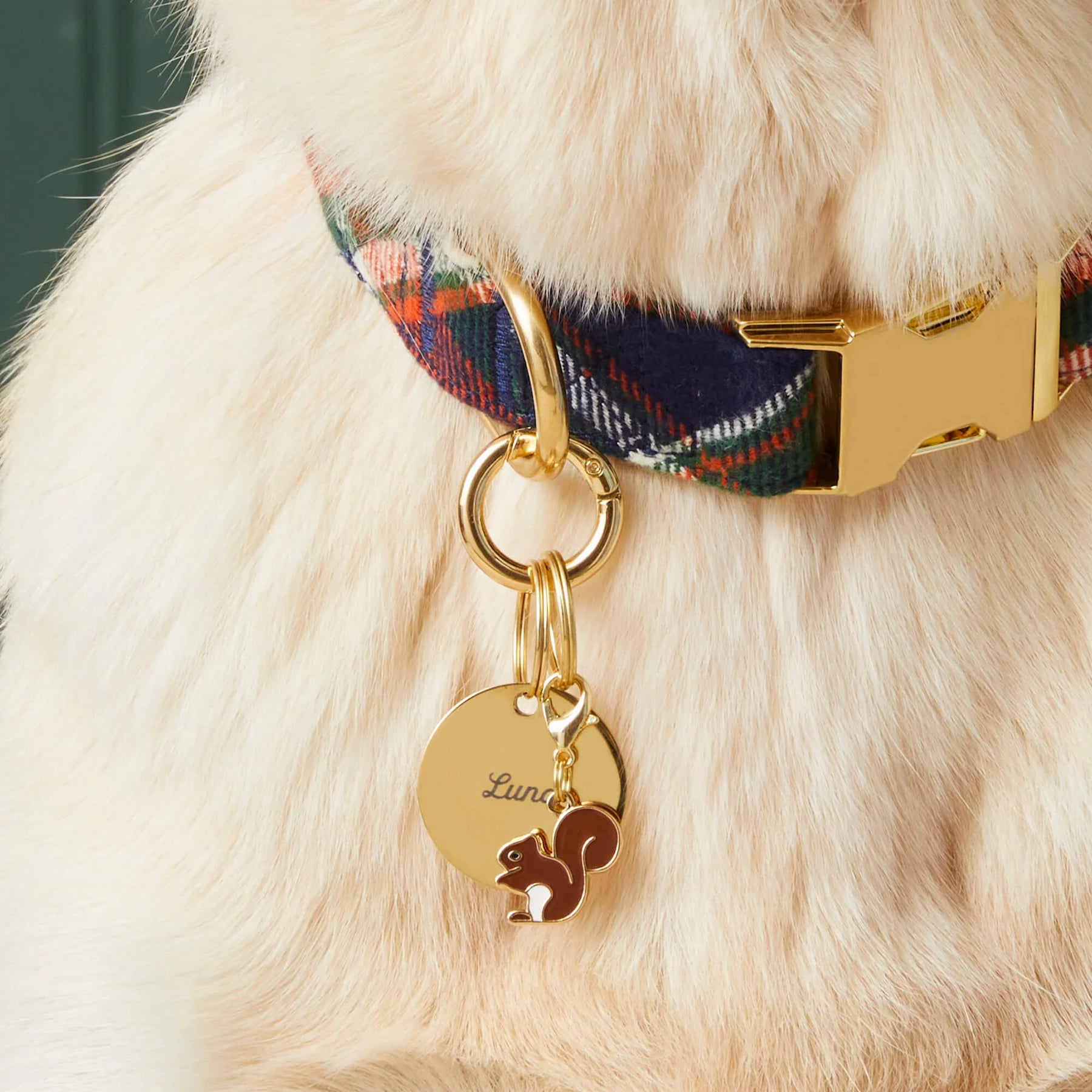 The Foggy Dog - Dog Charm Two Sided for Collar Brown Squirrel