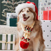 Foggy Dog - Dog Holiday Scarf Holly Bobble