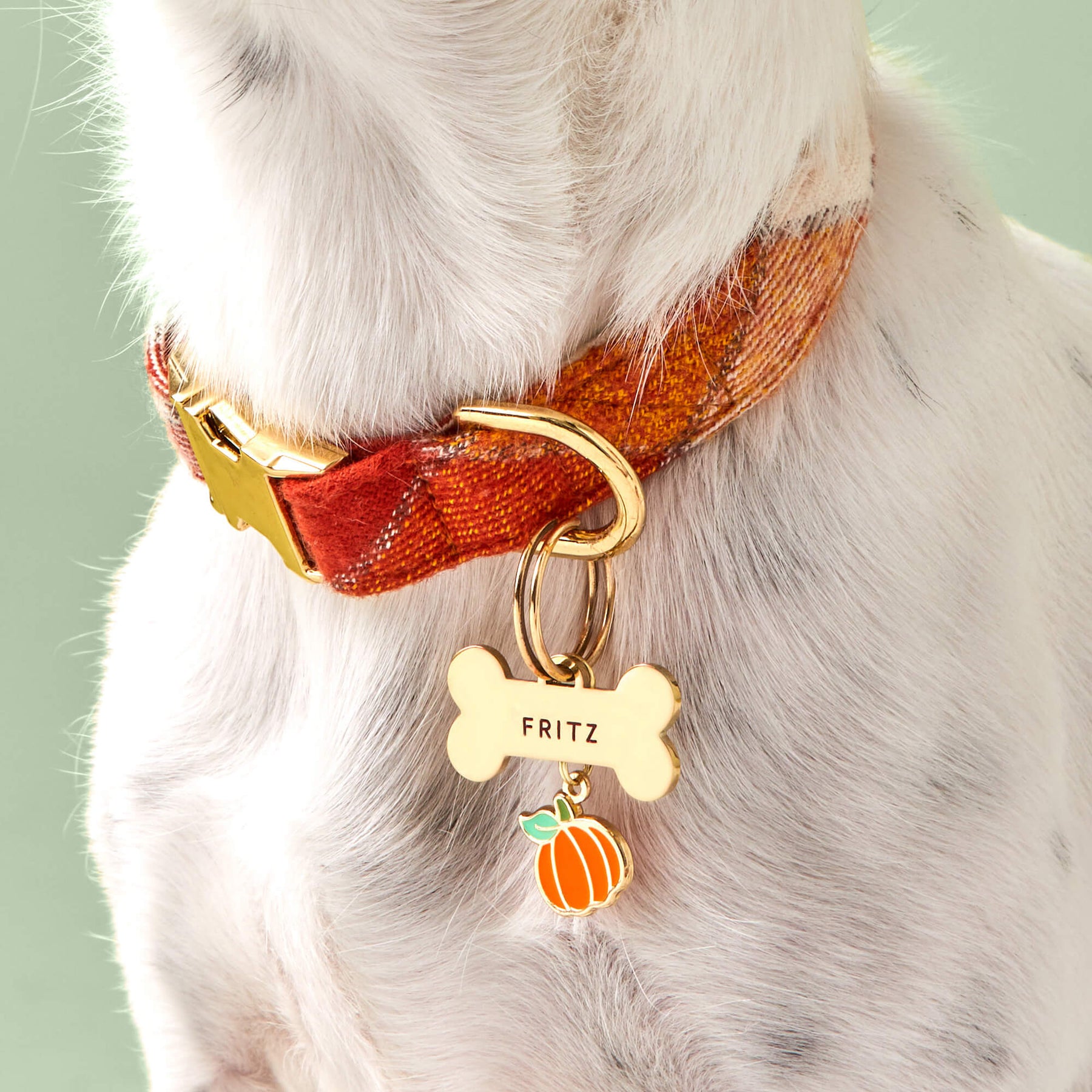 The Foggy Dog - Dog Charm Two Sided For Collar Pumpkin