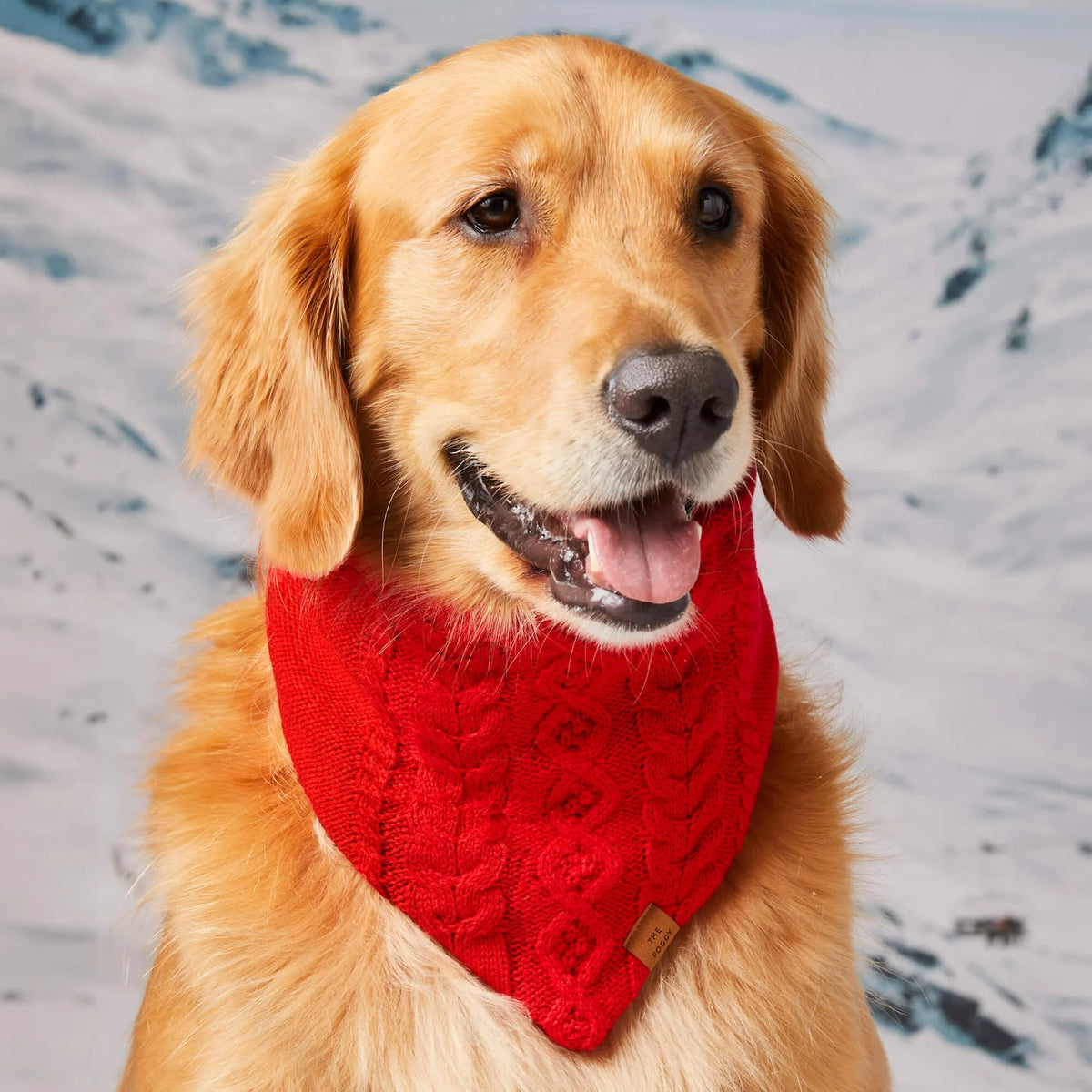 Dog Bandana Cable Knit