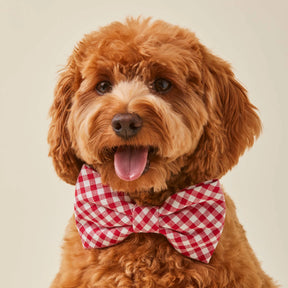 Dog Bow Tie Red Gingham
