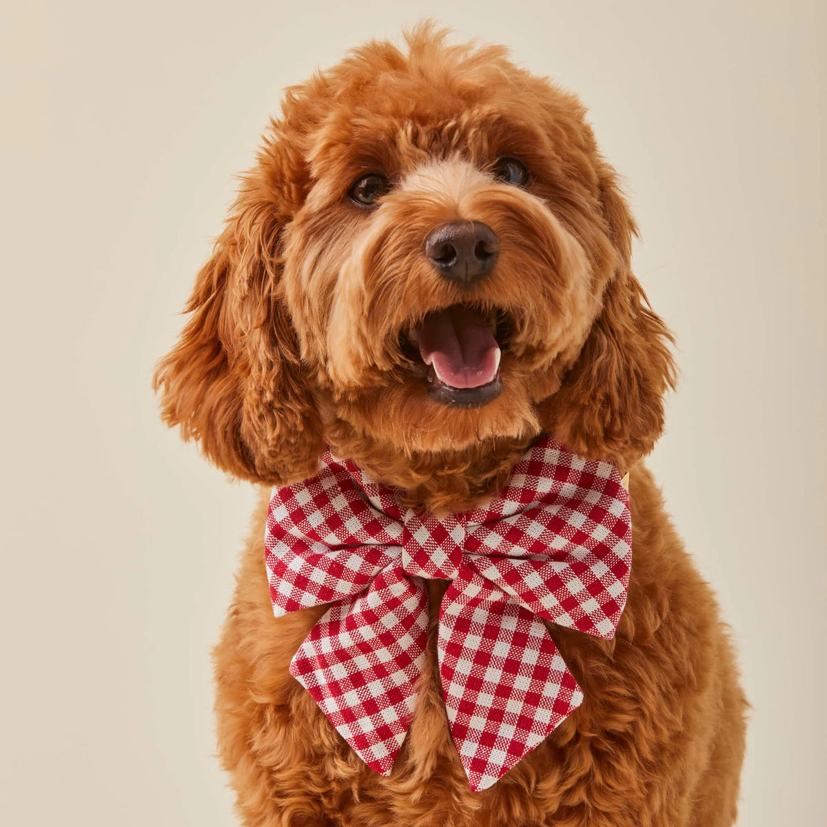Lady Dog Bow Red Gingham