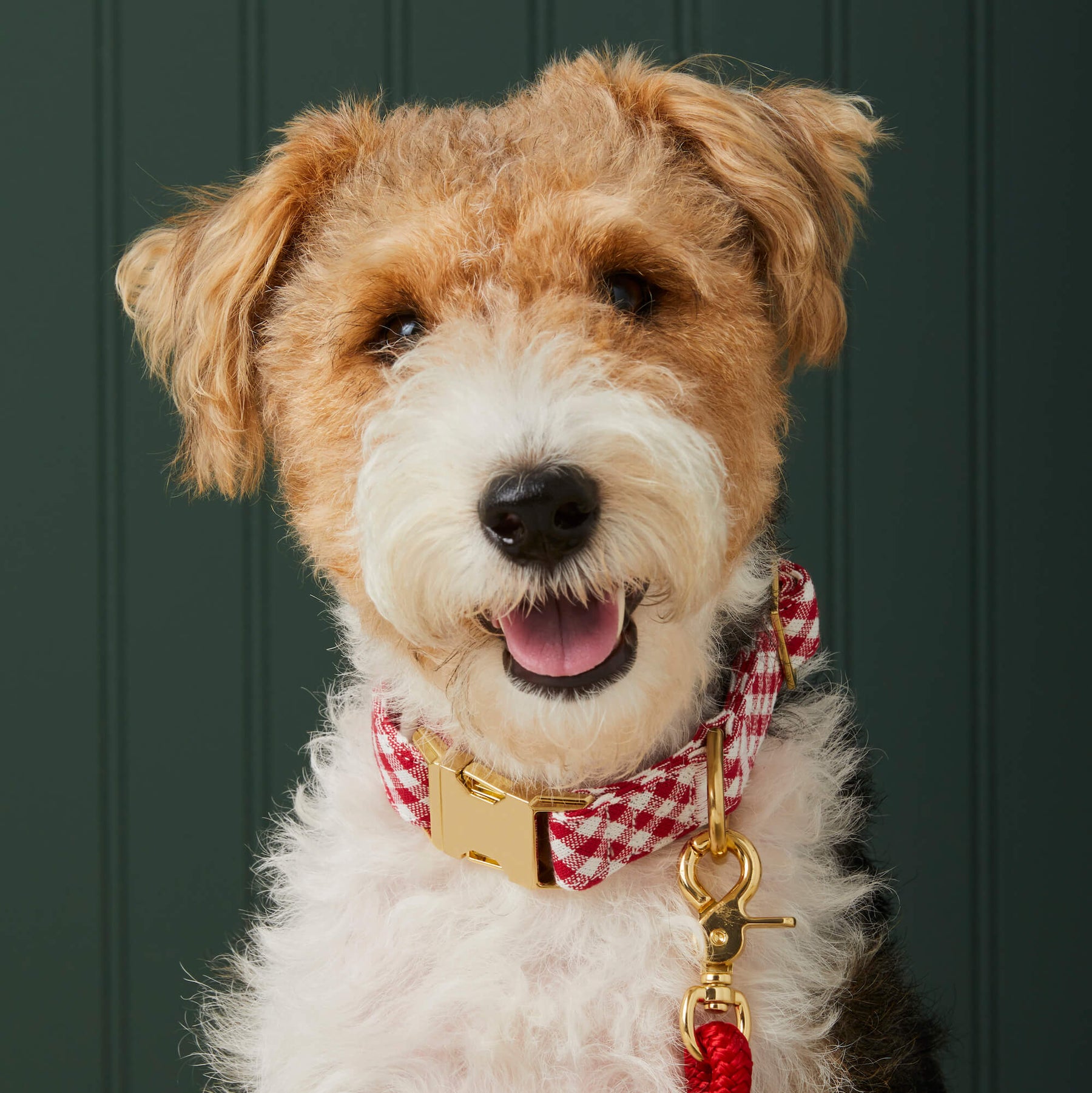 Dog Collar Red Gingham