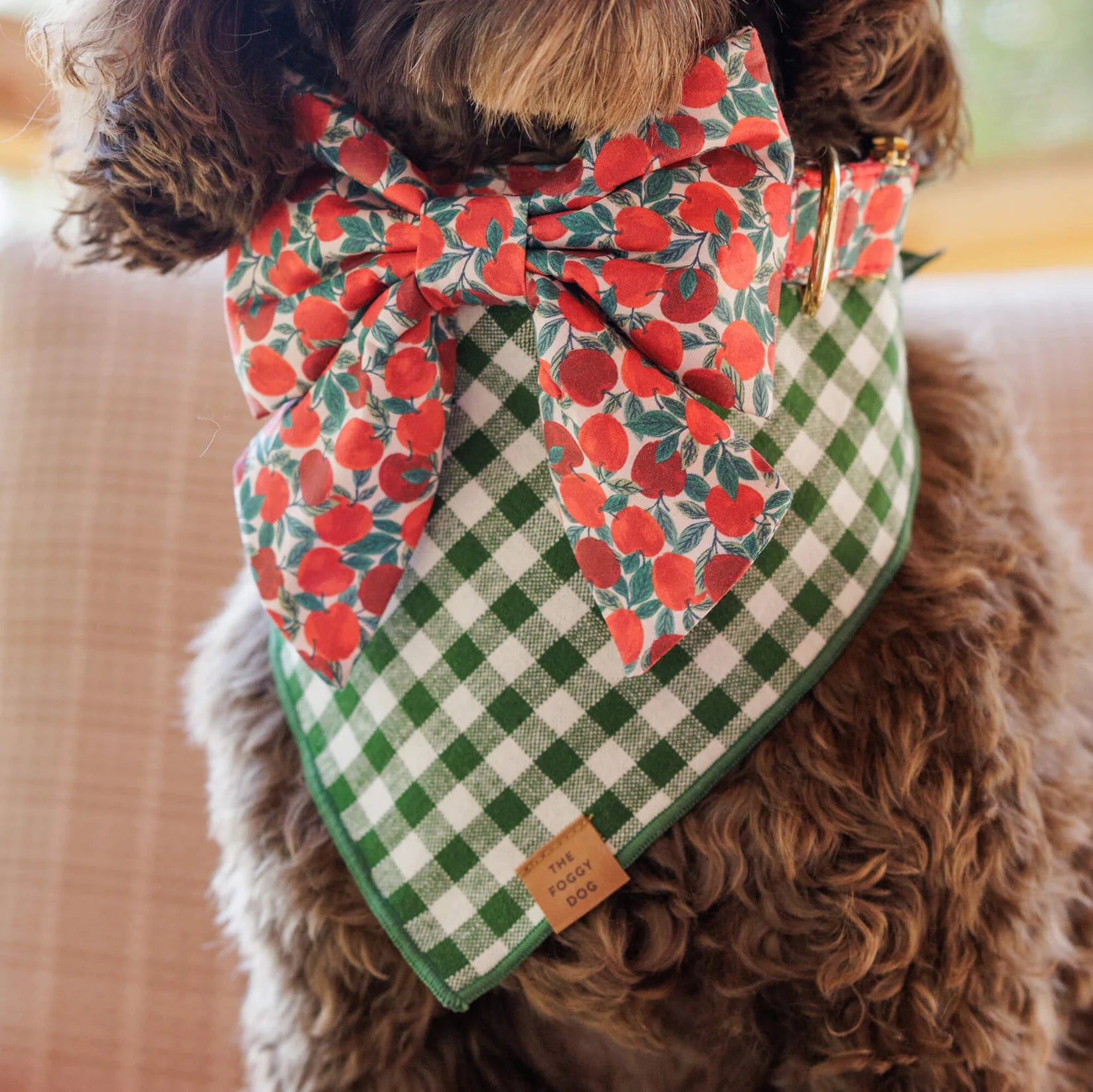 Bandana Dog Heather Taylor Home x TFD Mini Gingham Hunter Green