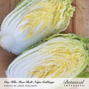Botanical Interests, Inc. - One Kilo Slow Bolt Napa Cabbage Seeds