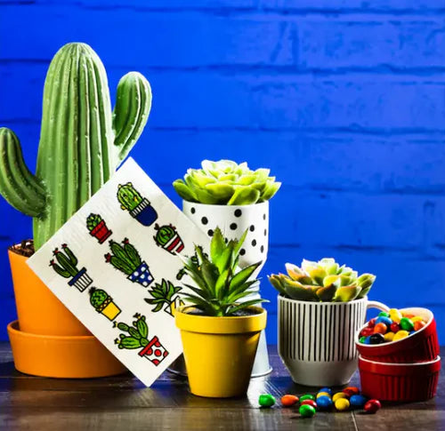 Wet-it! - Cactus Pots Swedish Cloth