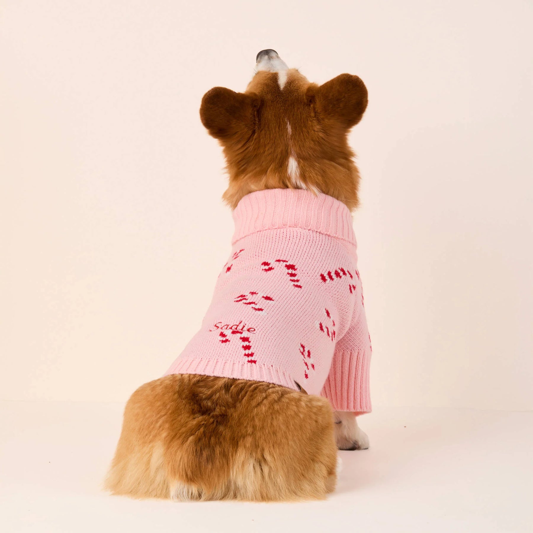 Foggy Dog - Dog Sweater Pink Candy Canes - Southern Agriculture 