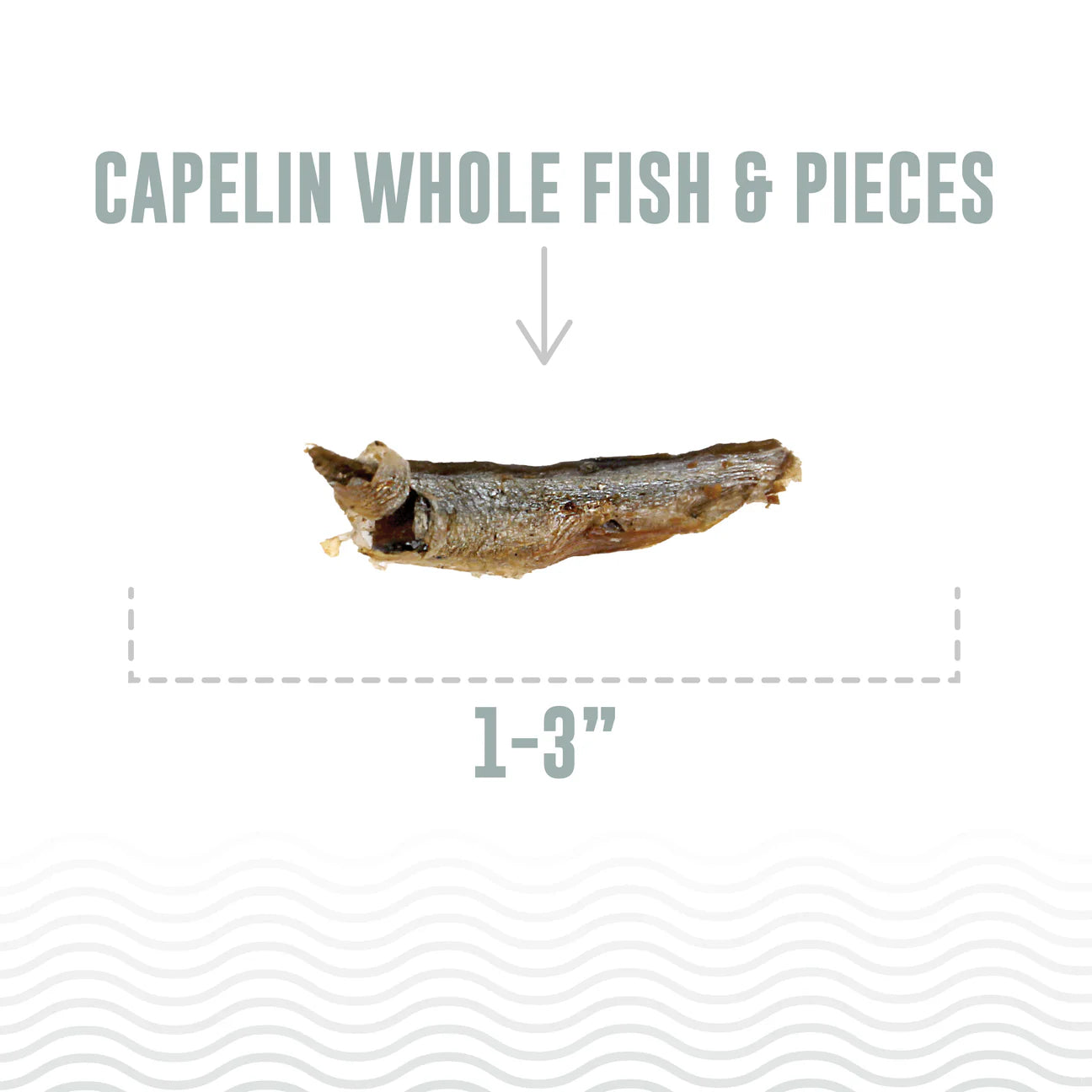 Icelandic+ - Capelin Whole Fish & Pieces Cat Treats