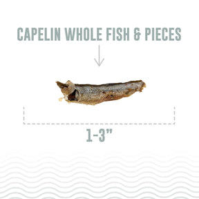 Icelandic+ - Capelin Whole Fish & Pieces Cat Treats