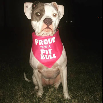 Dog Bandana Proud to be a Pitbull