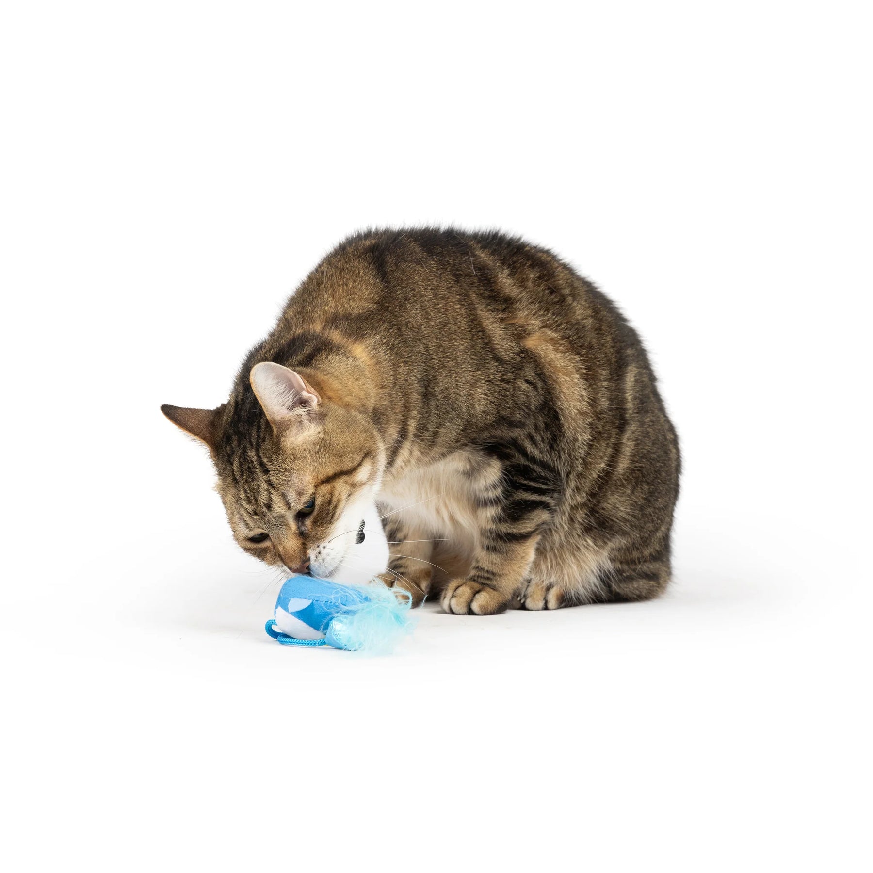 Huxley & Kent - Cat Toy Bluebird Chirpy