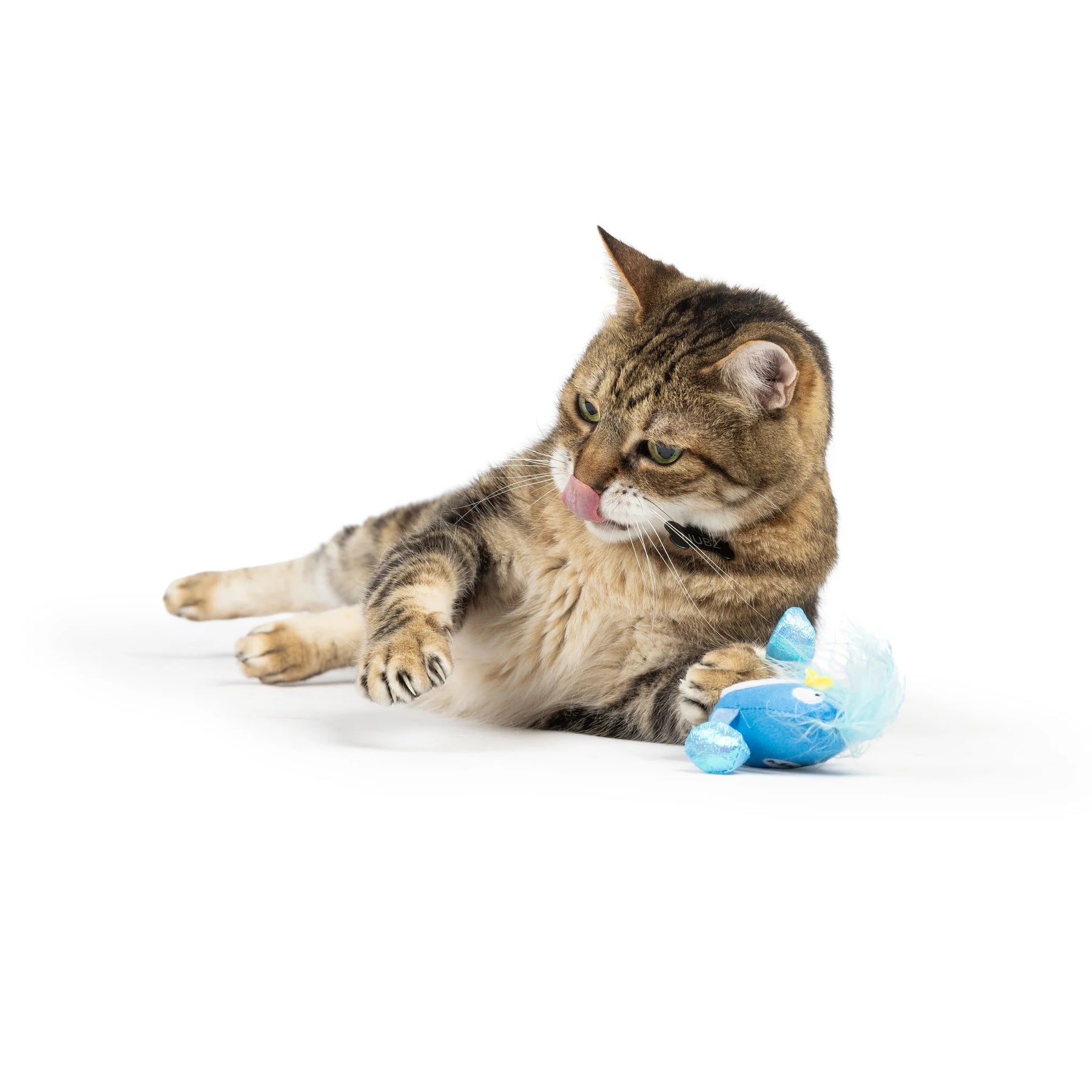 Huxley & Kent - Cat Toy Bluebird Chirpy