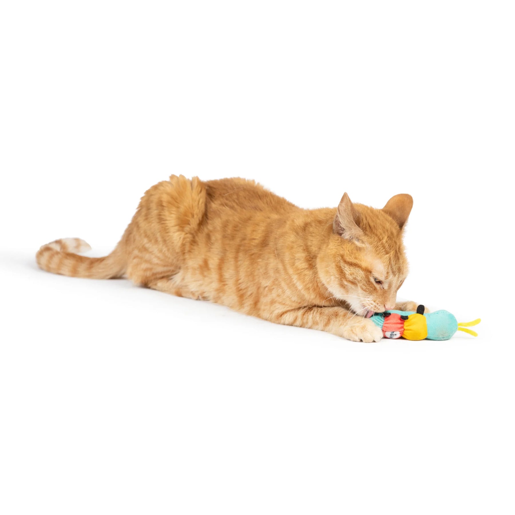 Huxley & Kent - Cat Toy Caterpillar