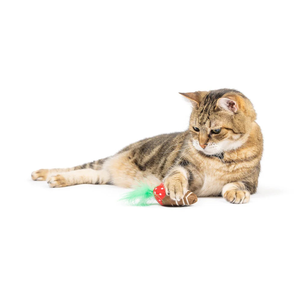 Huxley & Kent - Cat Toy Chocolate Strawberry