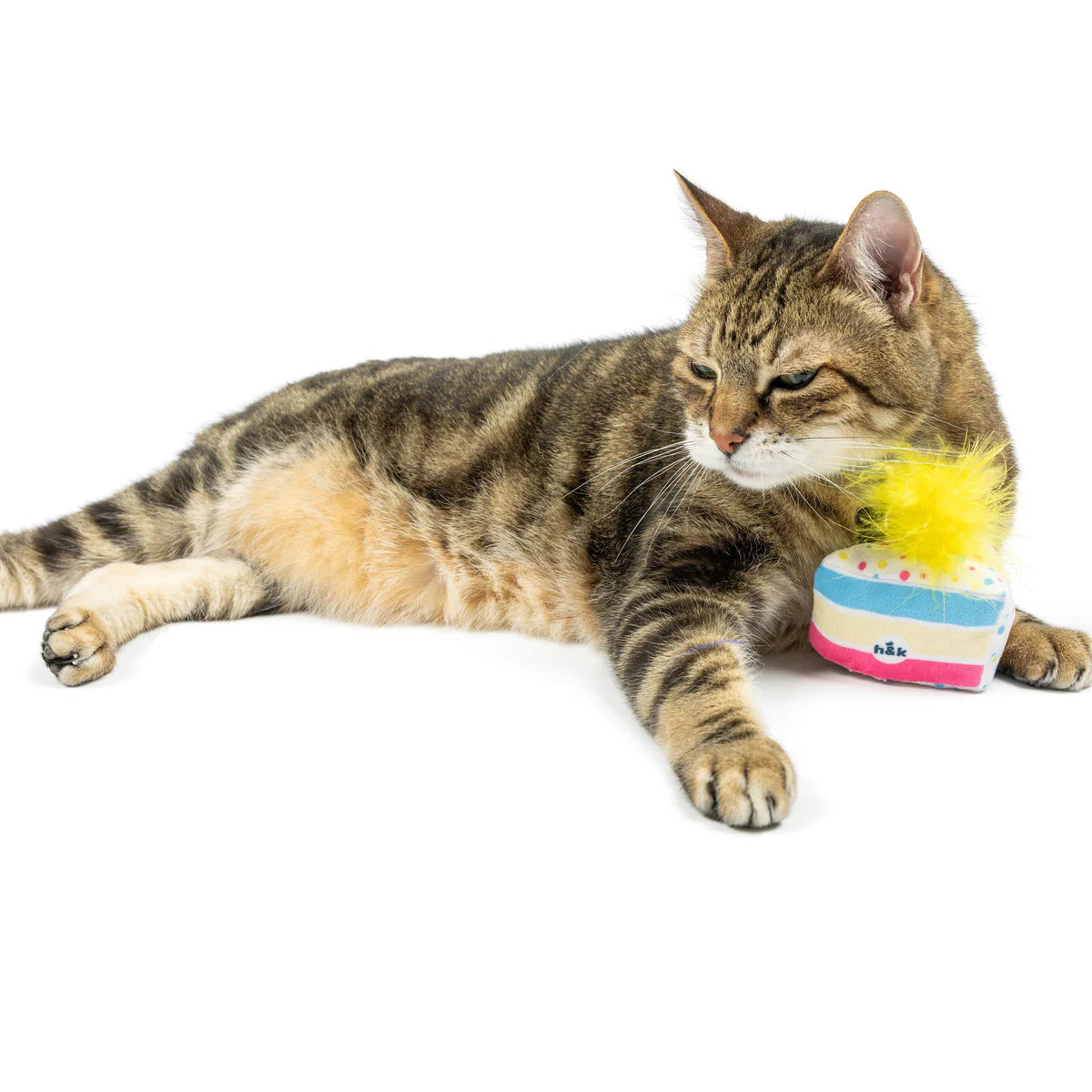 Cat Toy Meh' A Wish Cake