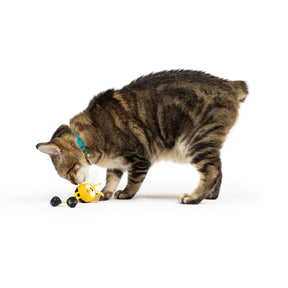Huxley & Kent - Cat Toy Bumble Bee Chirpy
