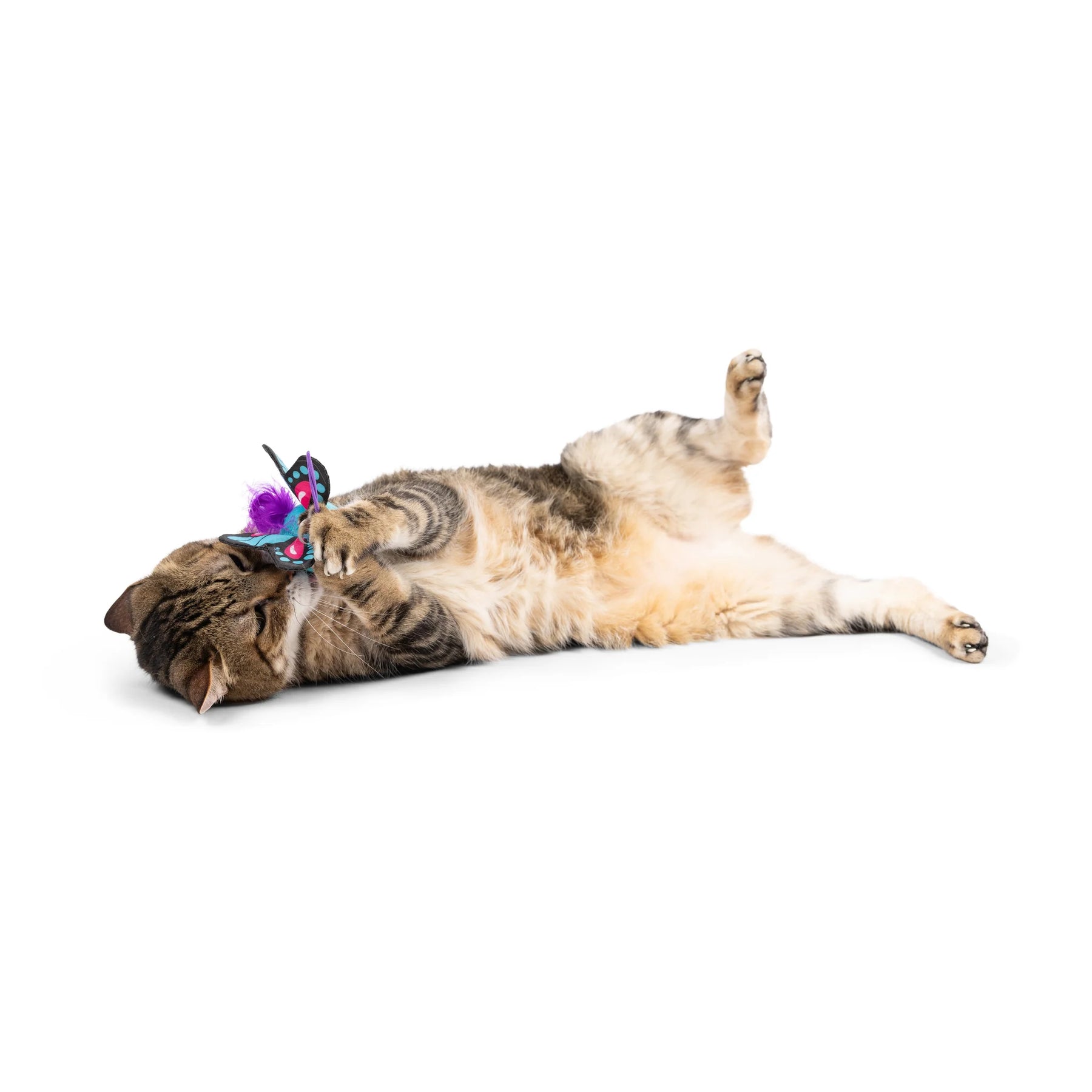 Huxley & Kent - Cat Toy Butterfly Flinger
