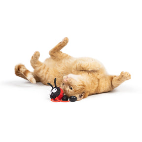 Huxley & Kent - Cat Toy Ladybug Chirpy