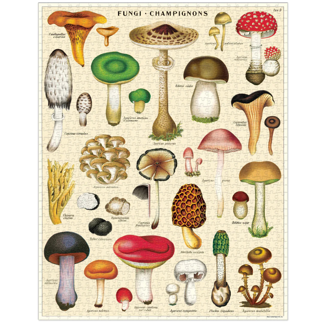 Cavallini & Co. - Puzzle Mushrooms