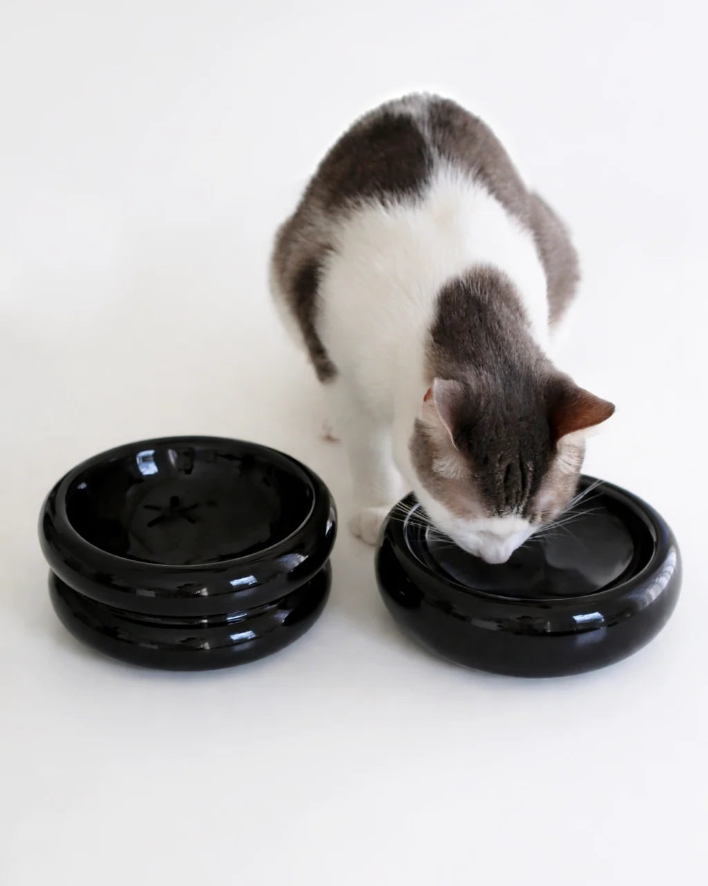 Catenary Home - Elevated Halo Pet Bowl Onyx