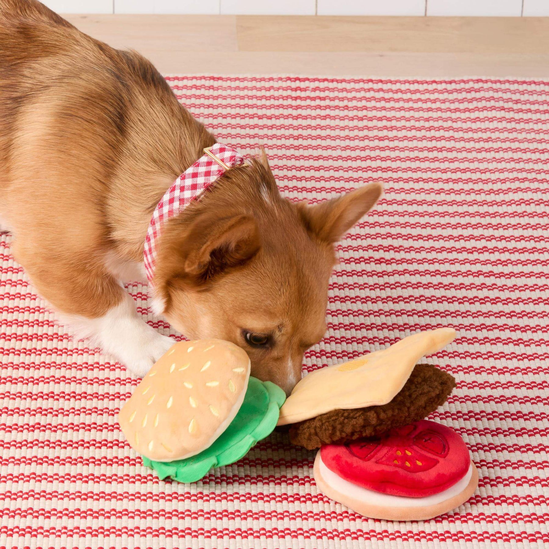 The Foggy Dog - Dog Toy Cheeseburger Interactive