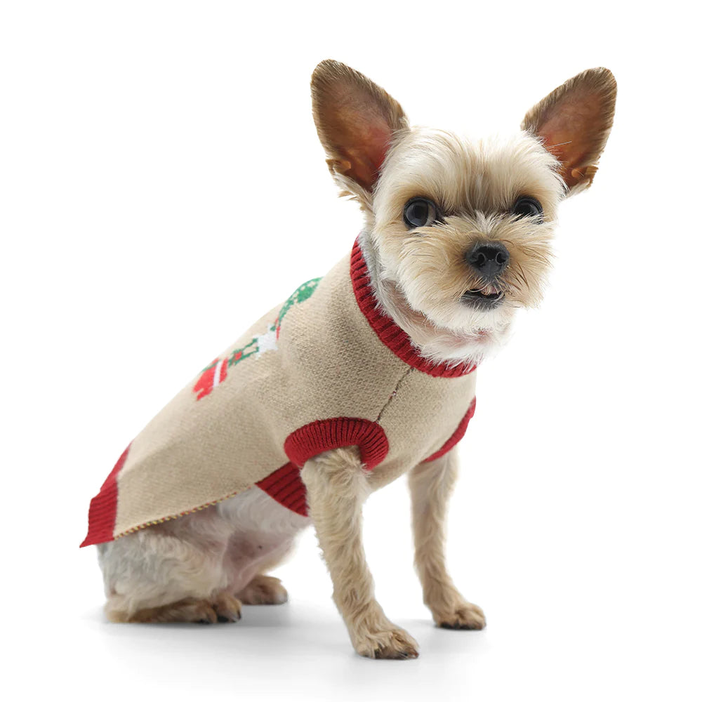 Dogo Pet - Sweater Christmas Wreath