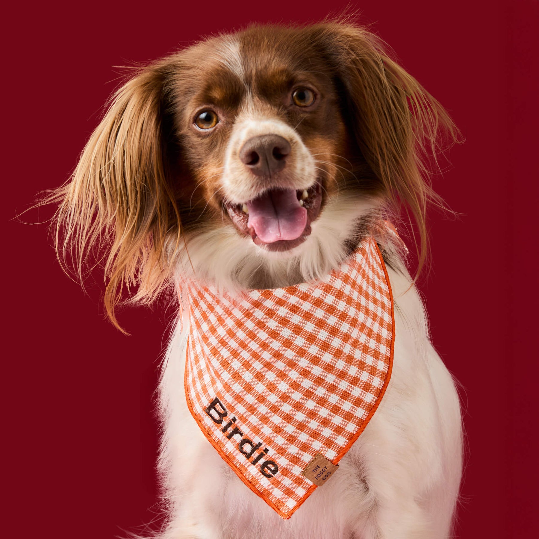 Bandana Cider Gingham