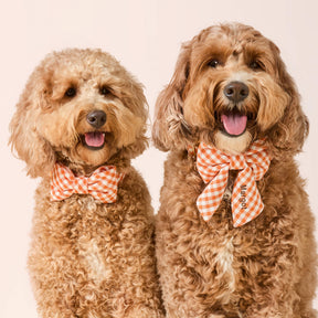 Dog Bow Tie Cider Gingham