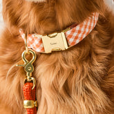 Dog Collar Cider Gingham
