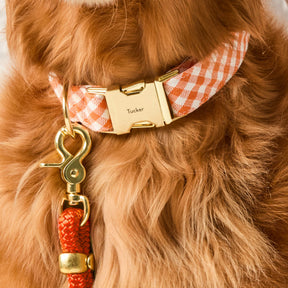 Dog Collar Cider Gingham