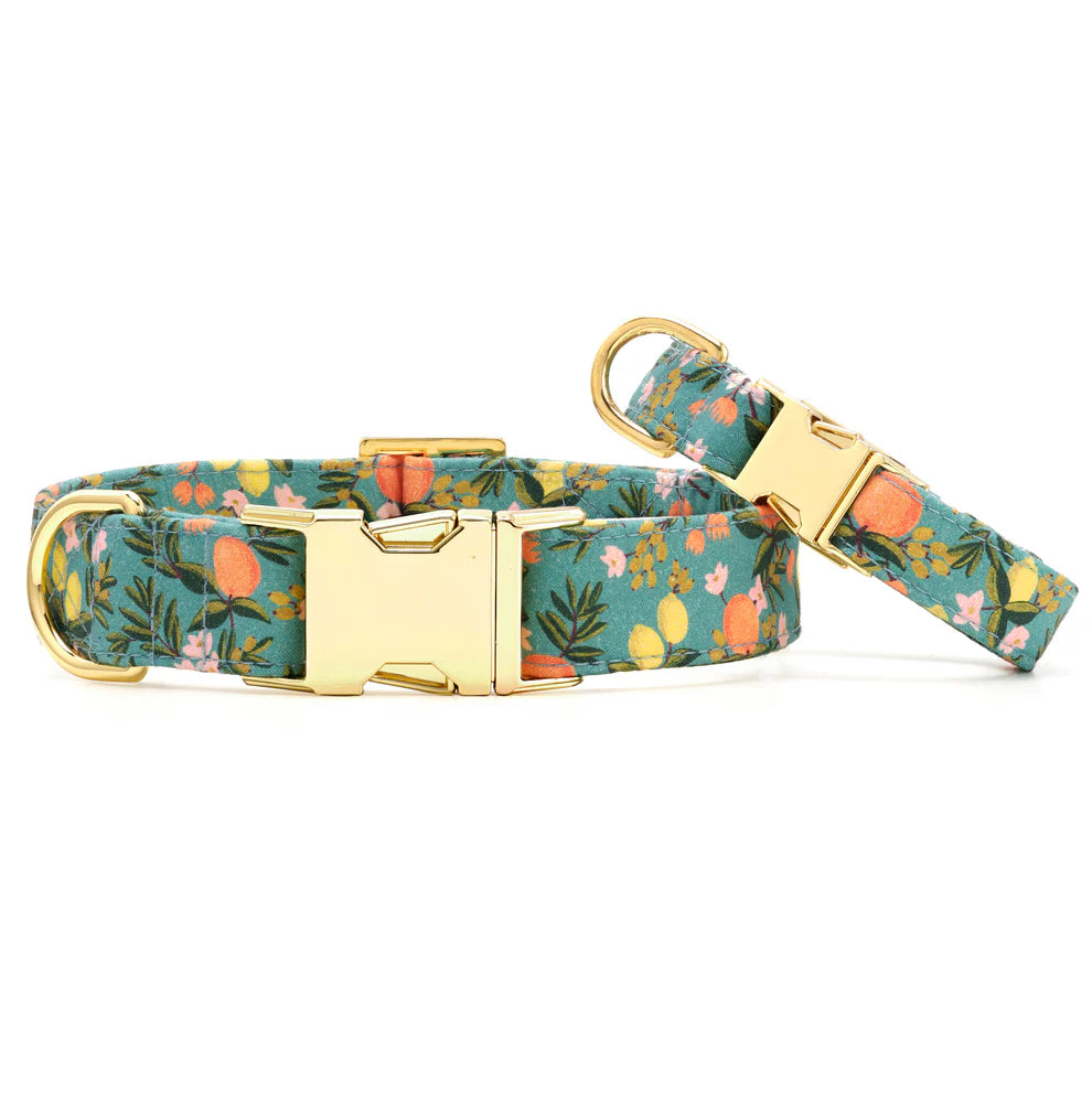 Dog Collar Citrus Floral Rifle Paper CO. X TFD