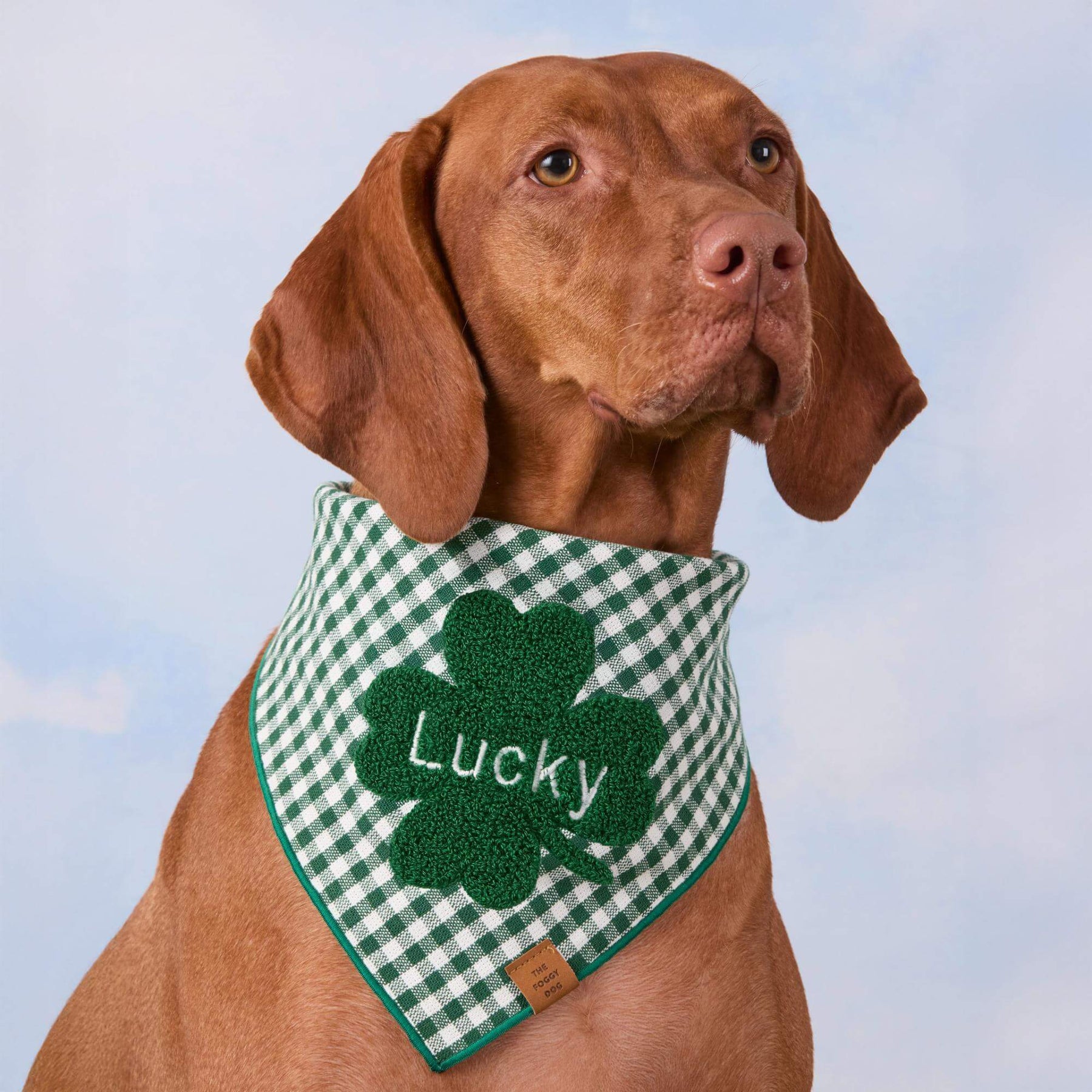 Foggy Dog - Dog Bandana Clover Applique