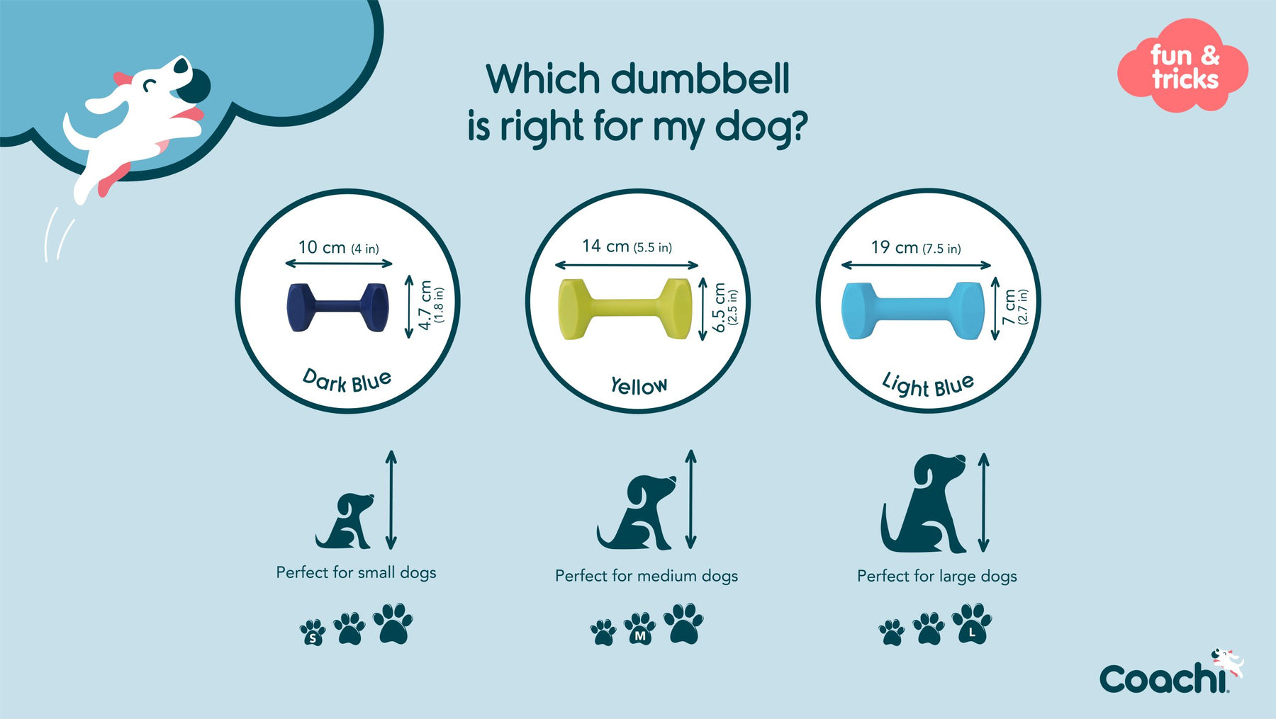 Coachi - Training Dumbbell