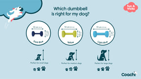 Coachi - Training Dumbbell