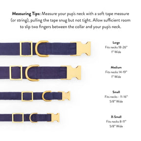 The Foggy Dog - Dog Collar Pretzel Party