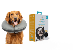 Zen Pro Inflatable Collar