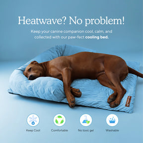 Pelsbarn - Cooling Dog Bed Heat Relief