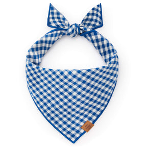 Bandana Lake Blue Gingham Summer