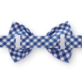 Dog Bow Tie Lake Blue Gingham
