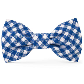 Dog Bow Tie Lake Blue Gingham