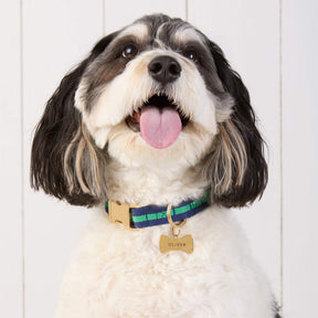 The Foggy Dog - Dog Collar Camden Stripped