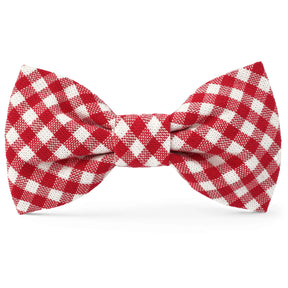 Dog Bow Tie Red Gingham