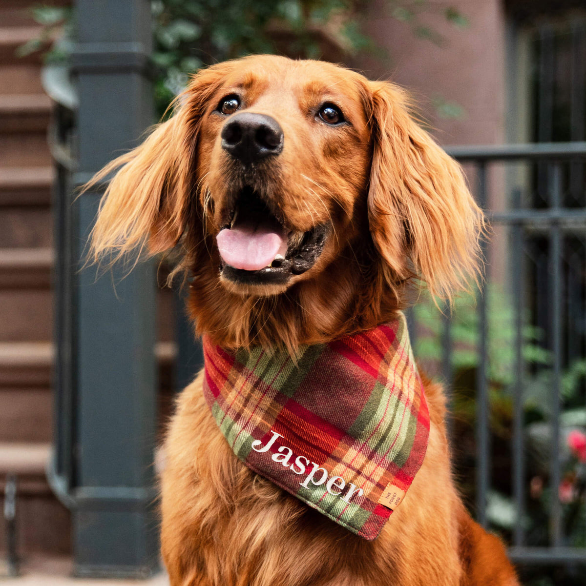 The Foggy Dog - Bandana Dog Orchard Plaid