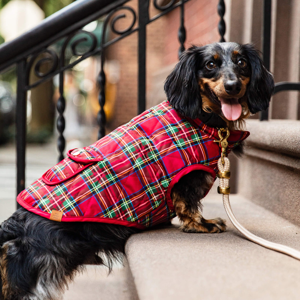 Dog Jacket Reversible Tartan