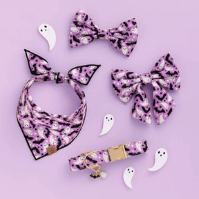 The Foggy Dog - Dog Collar Spooky Season Glow In the Dark