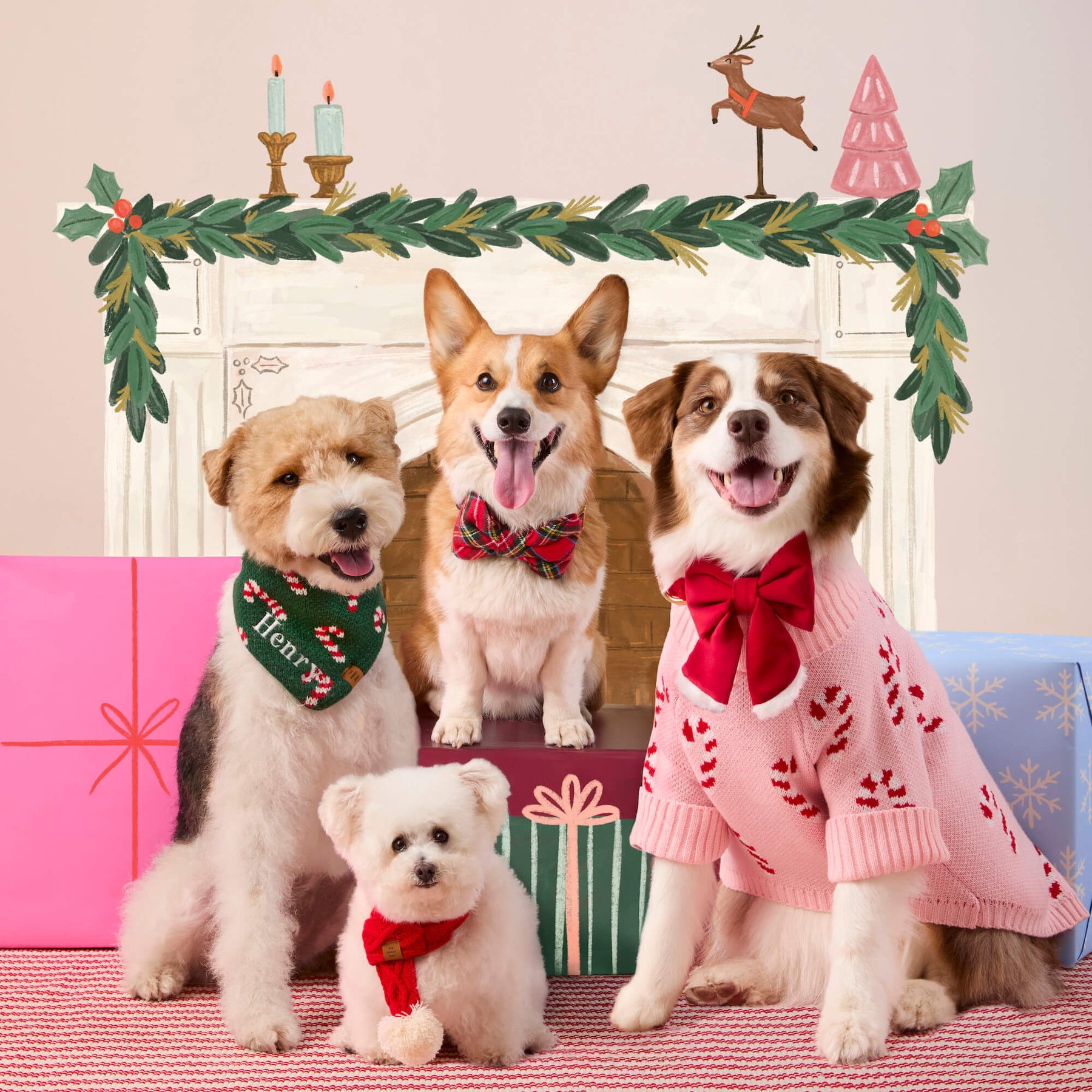 Foggy Dog - Dog Sweater Pink Candy Canes - Southern Agriculture 