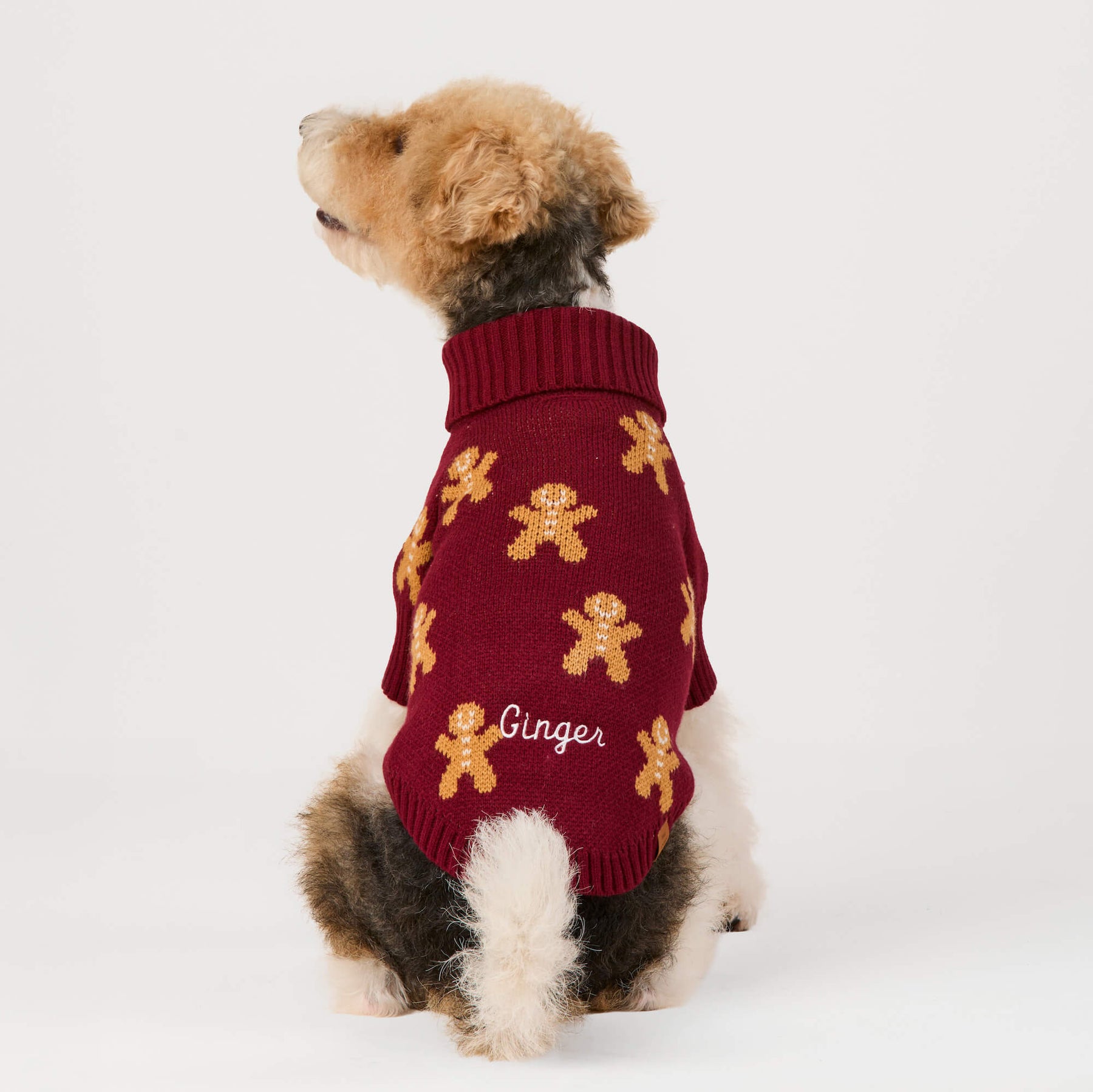 Foggy Dog - Dog Sweater Gingerbread Man - Southern Agriculture 