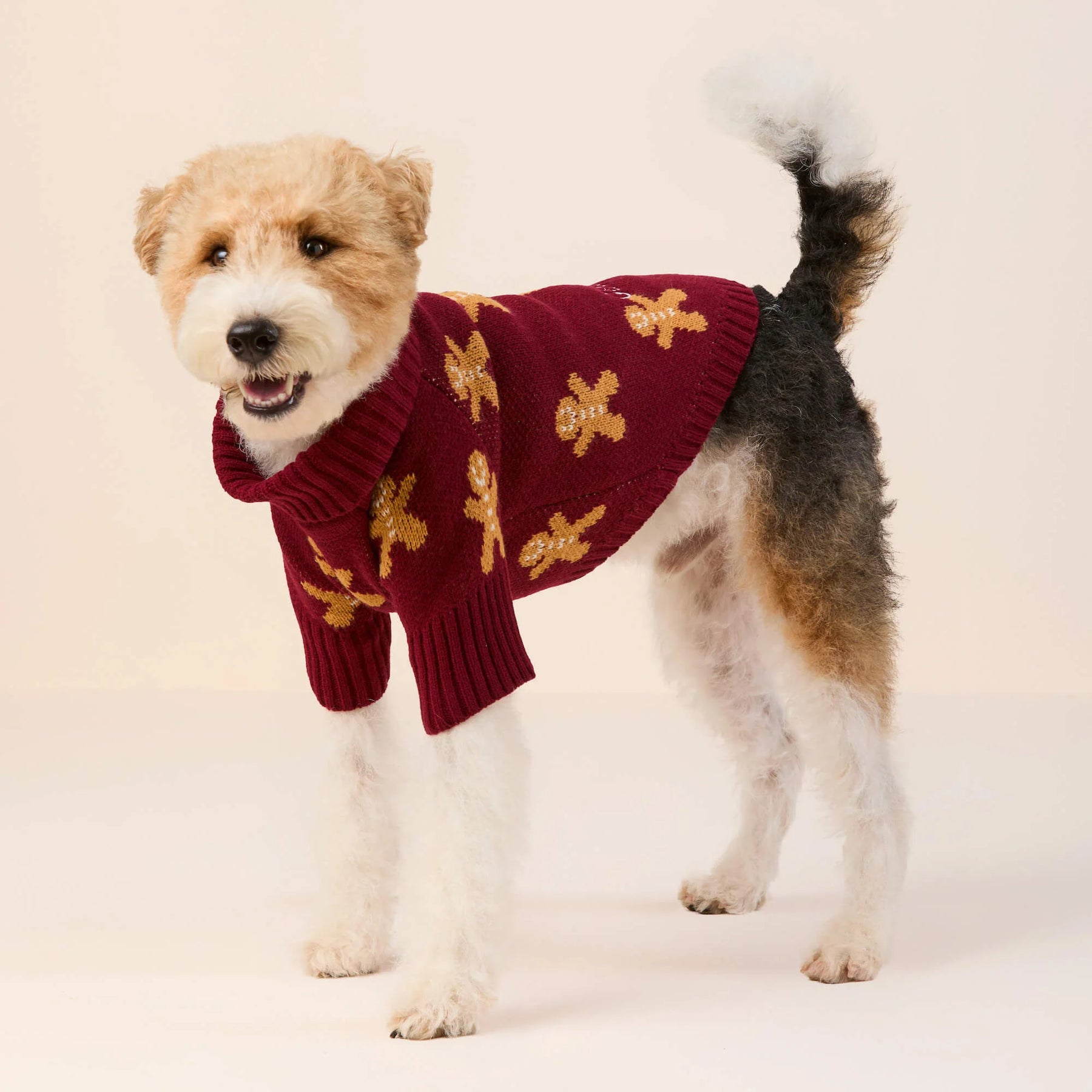 Foggy Dog - Dog Sweater Gingerbread Man - Southern Agriculture 