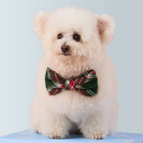The Foggy Dog - Dog Bow Tie Holly Jolly