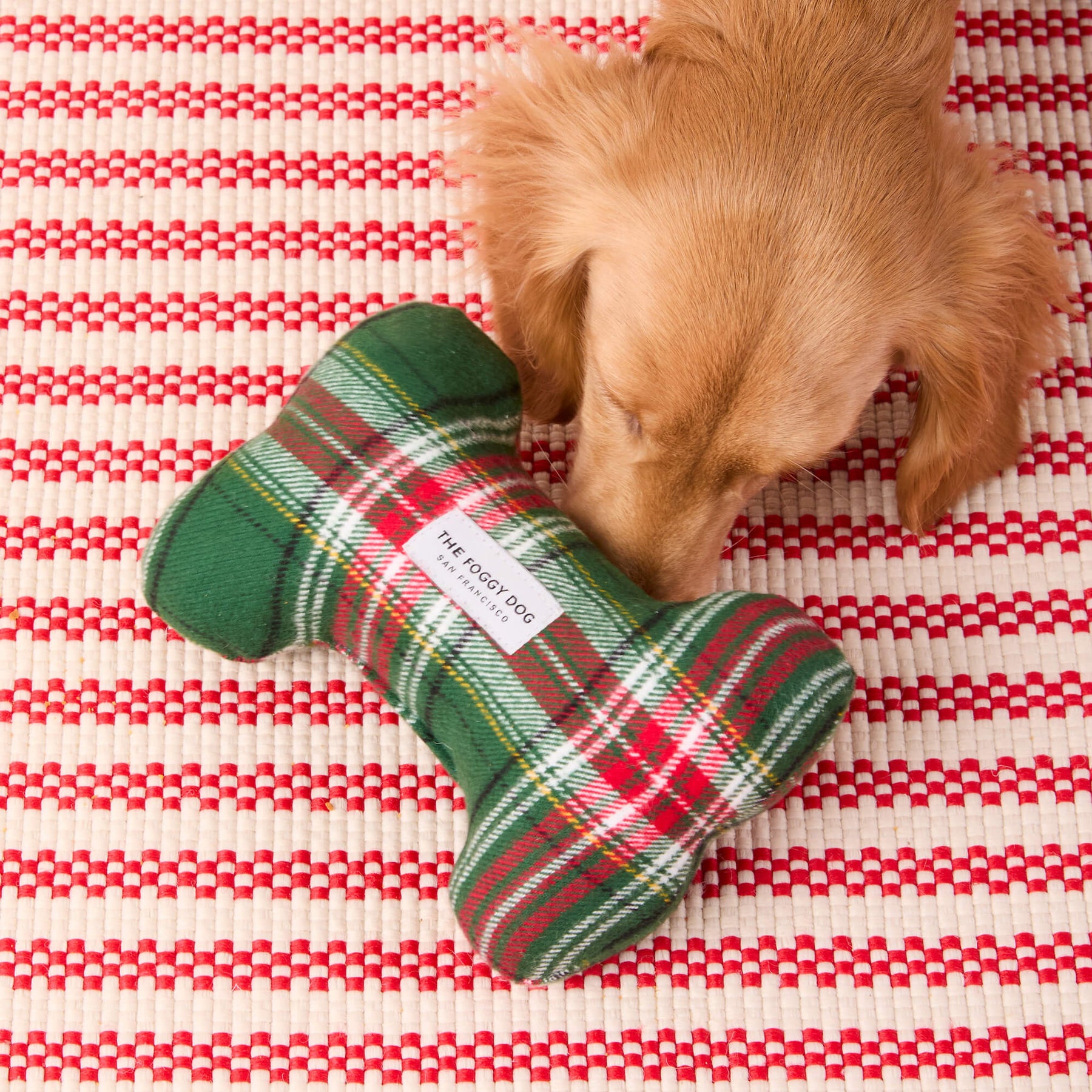 Dog Toy Holly Jolly Plaid